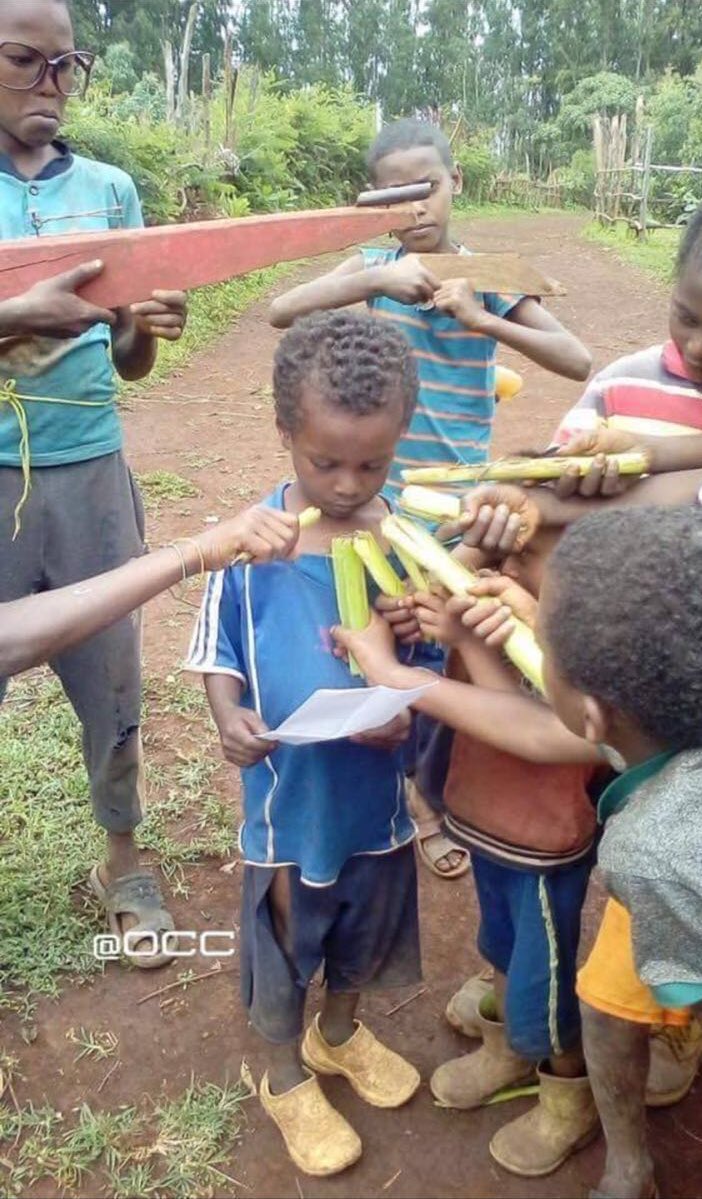 A whole pride of not 4, not 5, not 6 but 14 lions is on the loose somewhere in Limpopo. Yho cabanga.