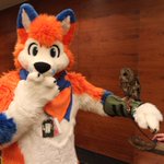 Photo by Botherdogs (@bthrdgs)