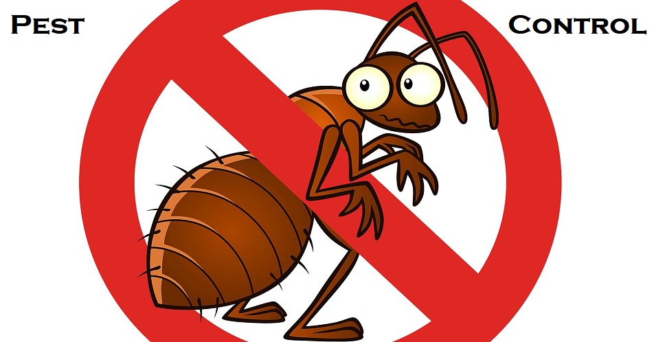 DexusDigital's tweet photo. What are #insecticide or #Pesticides and how to use it?

https://t.co/mqnWQHyW3m

#plants 
#pests
#Pest
#jaipur
#Rajasthan 
#OnlineMarketing 
#medicine https://t.co/BaqquBuSTm