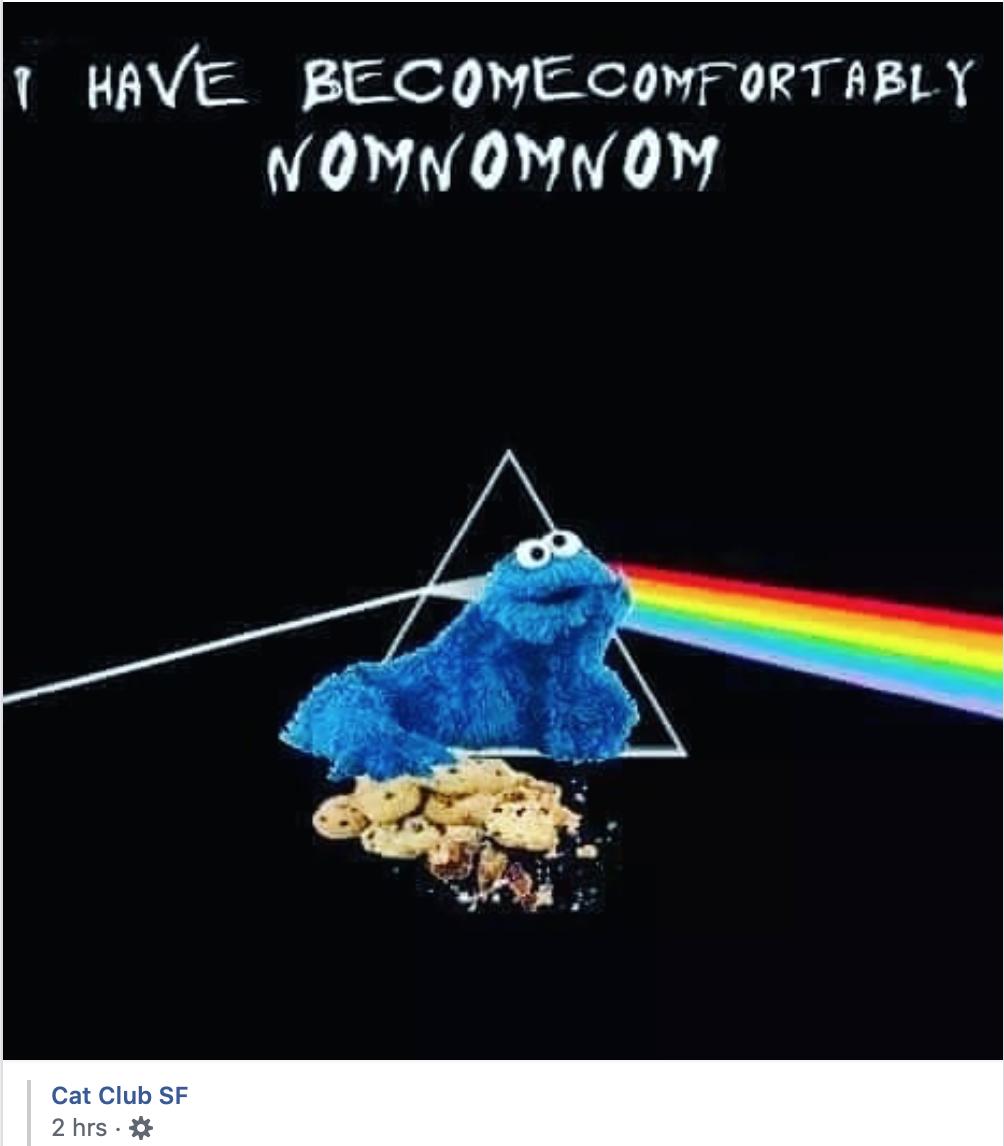 bagelradio's tweet photo. #cookiemonster #pinkfloyd #classicrock #classicalbum #nomnom #catclubsf https://t.co/V5qFZGQ8bk