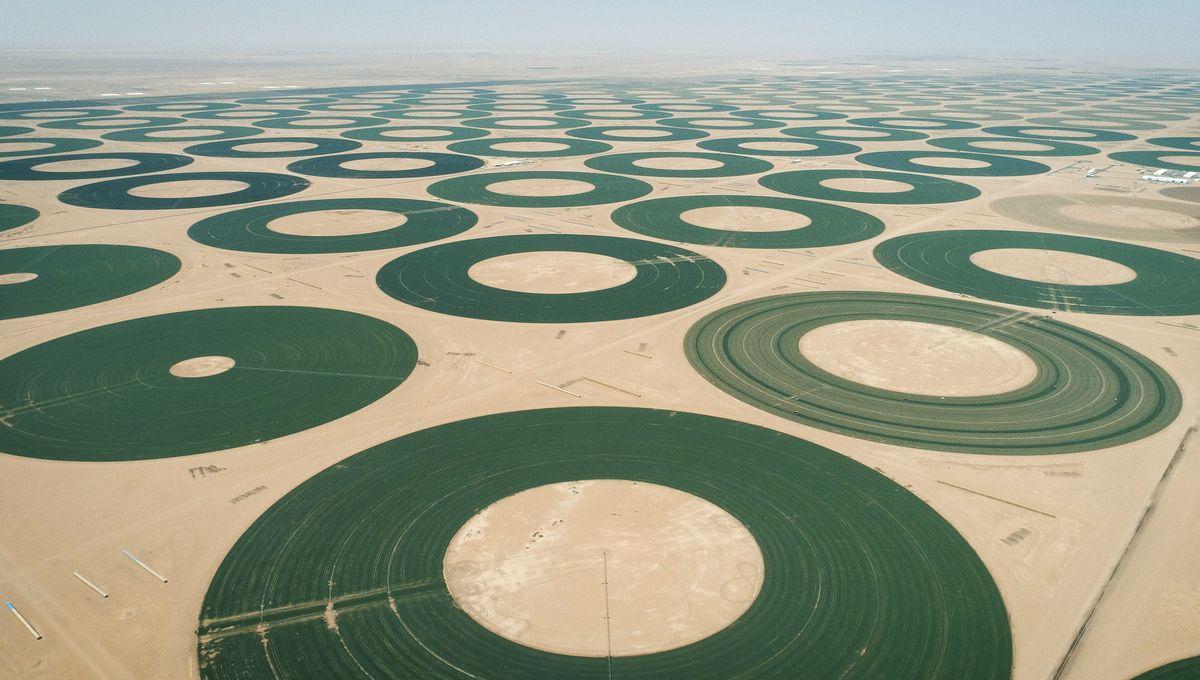 France Inter tweet media