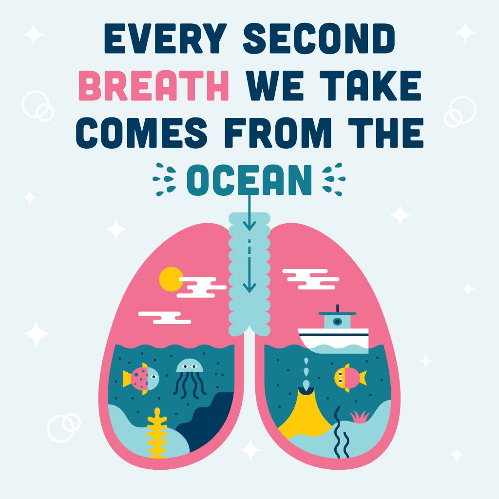 Marine_CoLAB's tweet photo. Happy #WorldOceanDay for schools! Today is a day to celebrate the role of the ocean in all of our our lives and recognise the impact we have on it. We can't wait to see what #schools get up to! @wodforschools @unepwcmc @mcsuk @NMAPlymouth @MarSocSci @thembauk #OceanValue https://t.co/0SIWkiKbCb