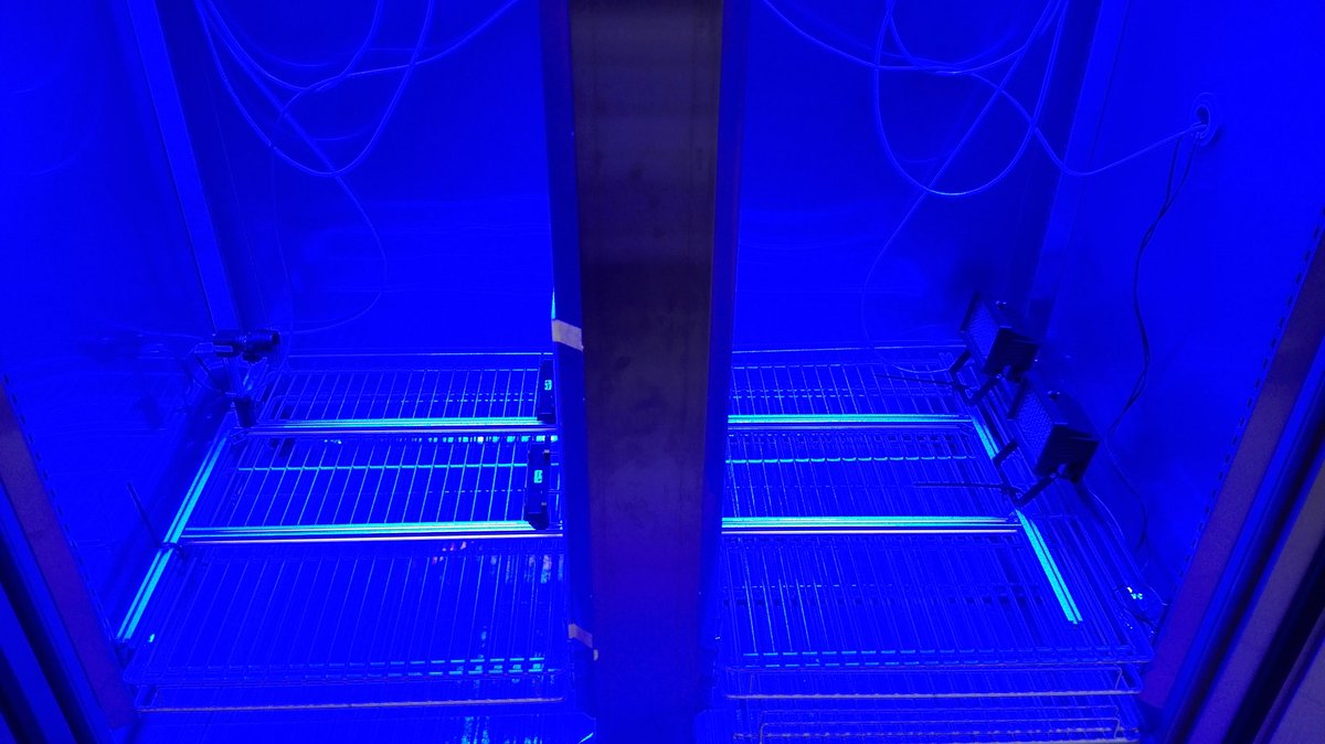 AndreM_Cordeiro's tweet photo. @I_CRY2 Thanks Oliver 🙂 I'm really excited about this set up. Are you still working with cry? We also have blue light LEDs 😉 https://t.co/NWsb1ODFYb