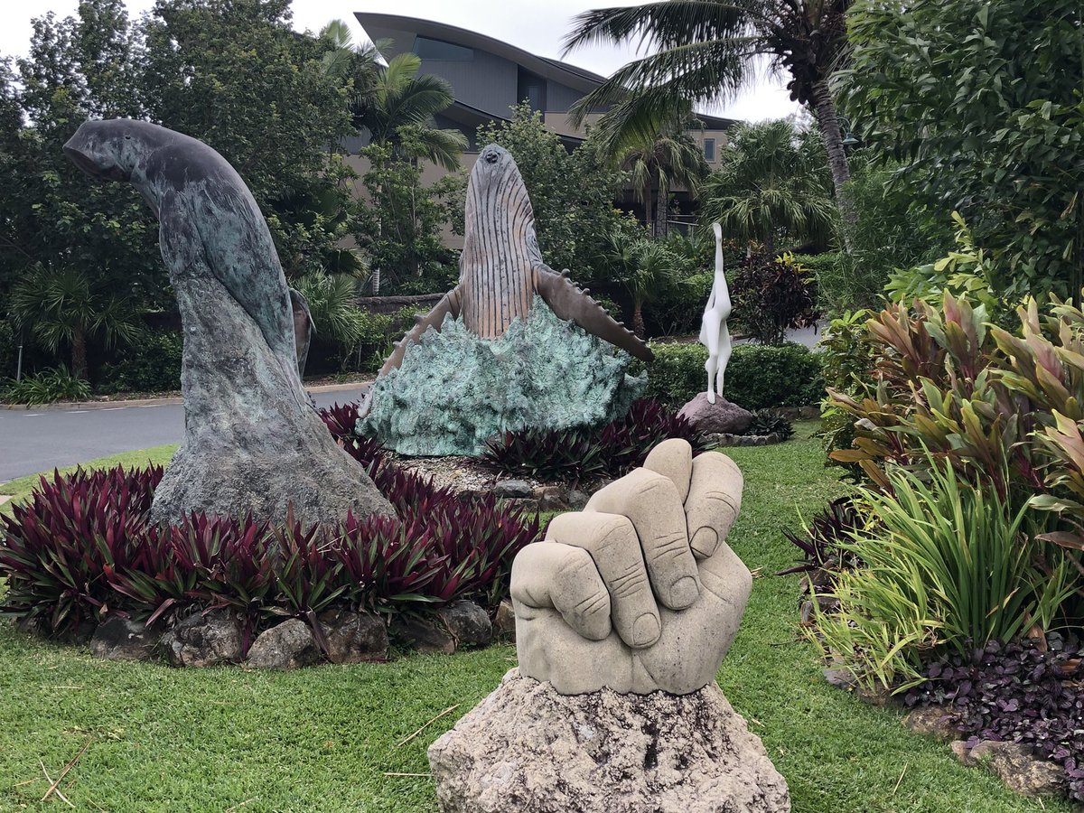 Pate Cooper tweet media