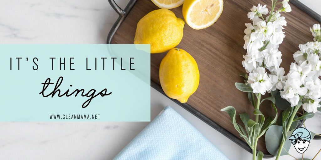 ProCleanAtlanta's tweet image. It’s the Little Things #48 dlvr.it/R69tDx