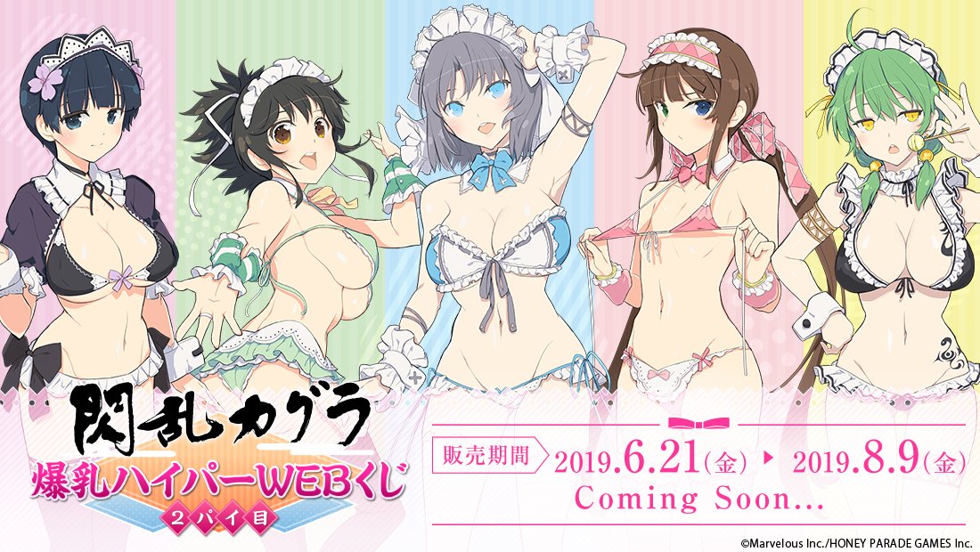雪泉 BIGタペストリー A賞 閃乱カグラ 爆乳ハイパーWEBくじ 5パイ目