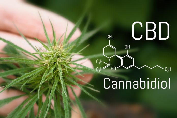 What exactly is CBD? Effects, Benefits, Uses - dailyleaf.co/cbd-101/what-i… via <a href="/DailyLeaf_News/">DailyLeaf.co</a> #cbd #cannabidiol #cannabis