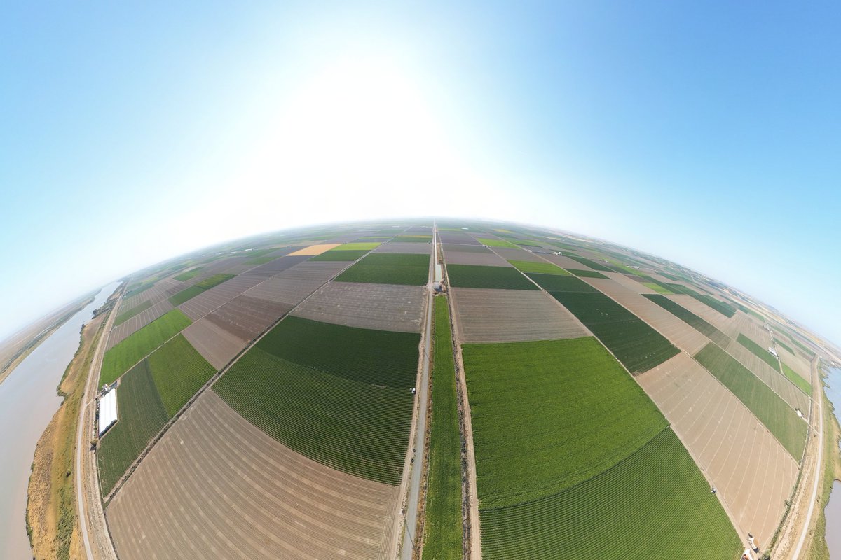 Benj' Thi🇫🇷🍎🥔 tweet media