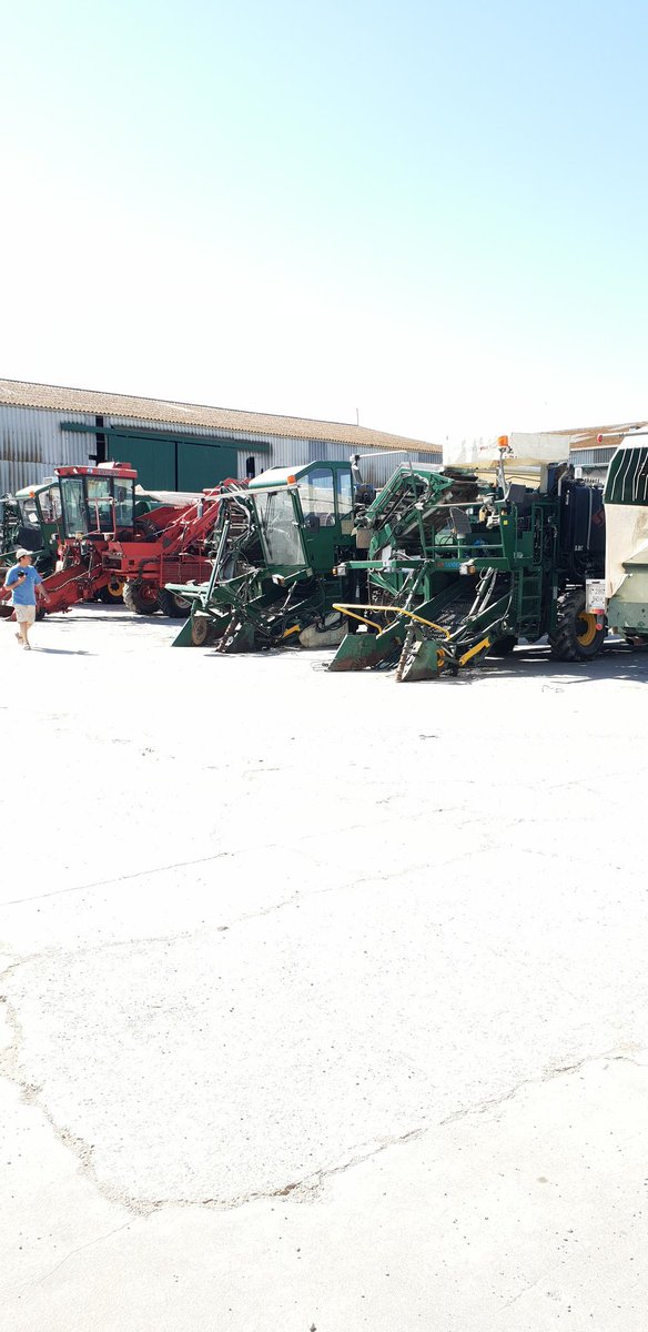 Benj' Thi🇫🇷🍎🥔 tweet media