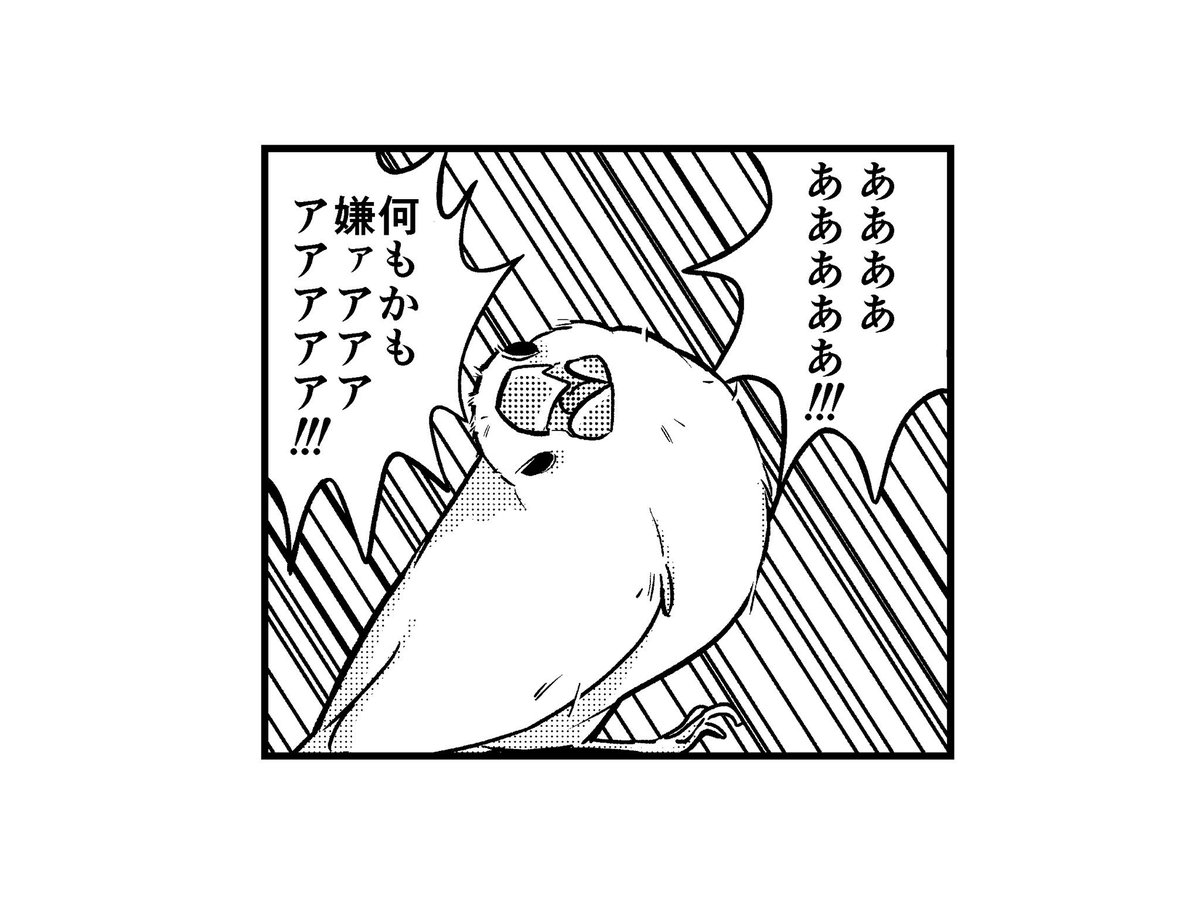 換羽中の文鳥「今日も一日」
#一コマ文鳥 #文鳥 