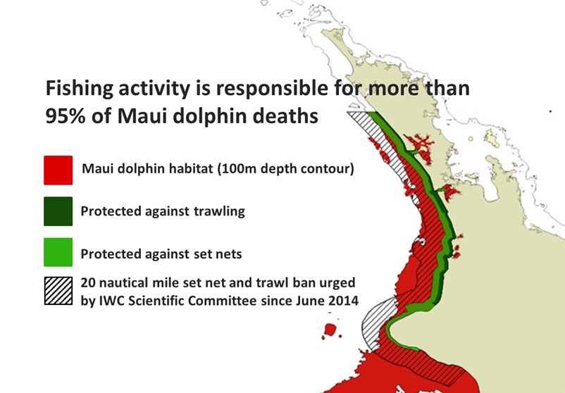 SaveNZDolphins's tweet photo. Maui dolphin habitat reaches out to 20 nautical miles - large majority is commercially fished

⚠️ Trawling allowed beyond 2-4nm

⚠️ Set nets allowed beyond 2-7nm with observers

New cameras won't stop Maui dying in nets and we can't afford to lose a single one!

#SaveNZDolphins https://t.co/Cgd2CfA0Xs