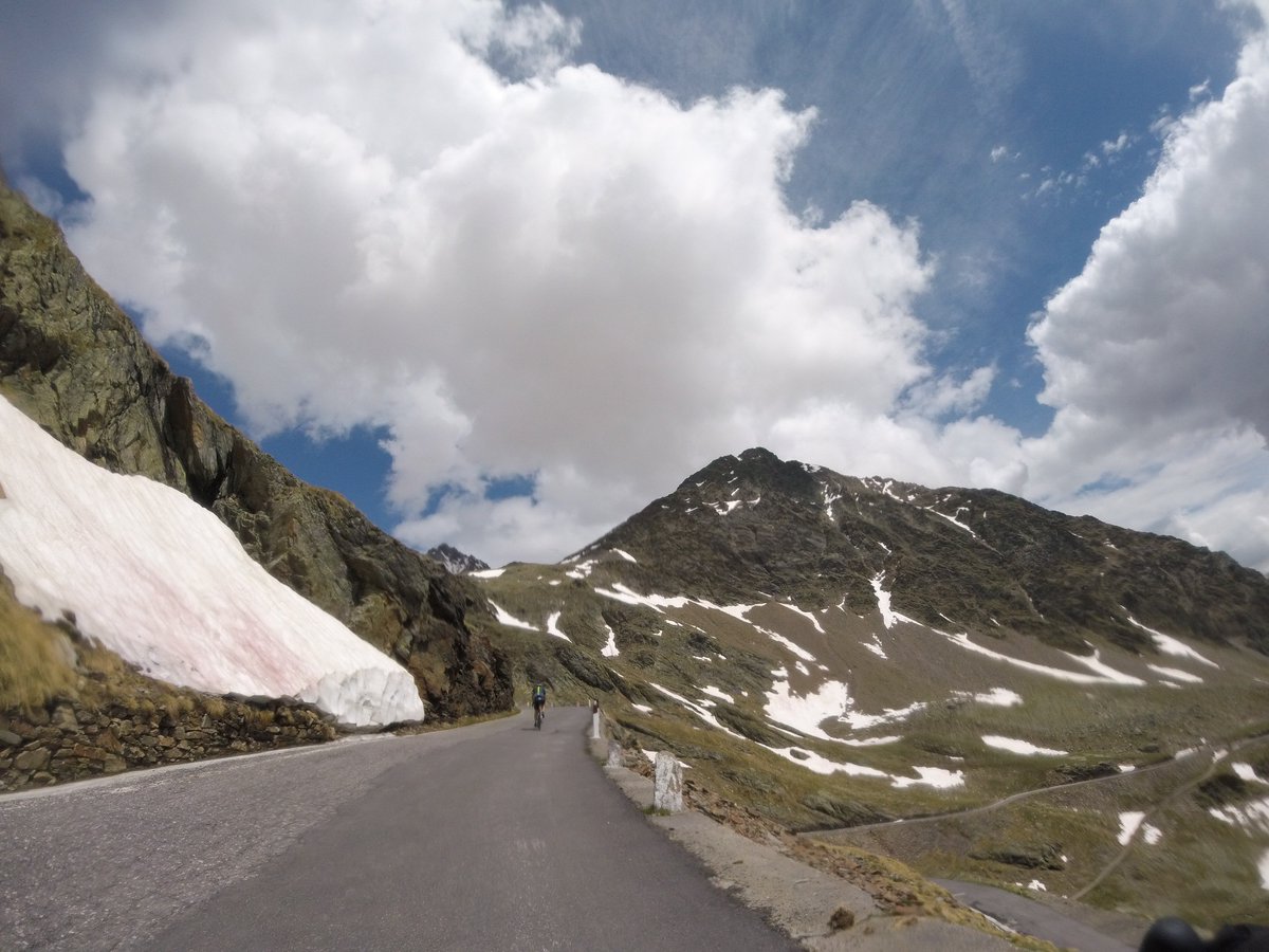 Max Bancora tweet media