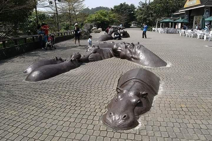 sandipkale82's tweet photo. Some of the amazing creations around the world 😮👌🏻
#FridayMotivation #FridayFeeling
#FridayThoughts #AmazingStartsHere #RareEarth #creation #artists #Monumentos #BreakingNews #viralnews #WorldFoodSafetyDay #lessonslearnedfrommoving #LESSONLEARNED #SometimesWeHaveTo #Newsnight https://t.co/MLD2LicebB