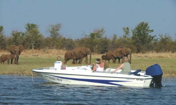 KaribaHolidays's tweet photo. The little pools in the bush have dried out and all the animals are having to visit the lake shoreline for their first &amp; last drinks of the day. Best time to view game by boat. Another reason to visit Kariba this winter! https://t.co/BRG6GjpRao