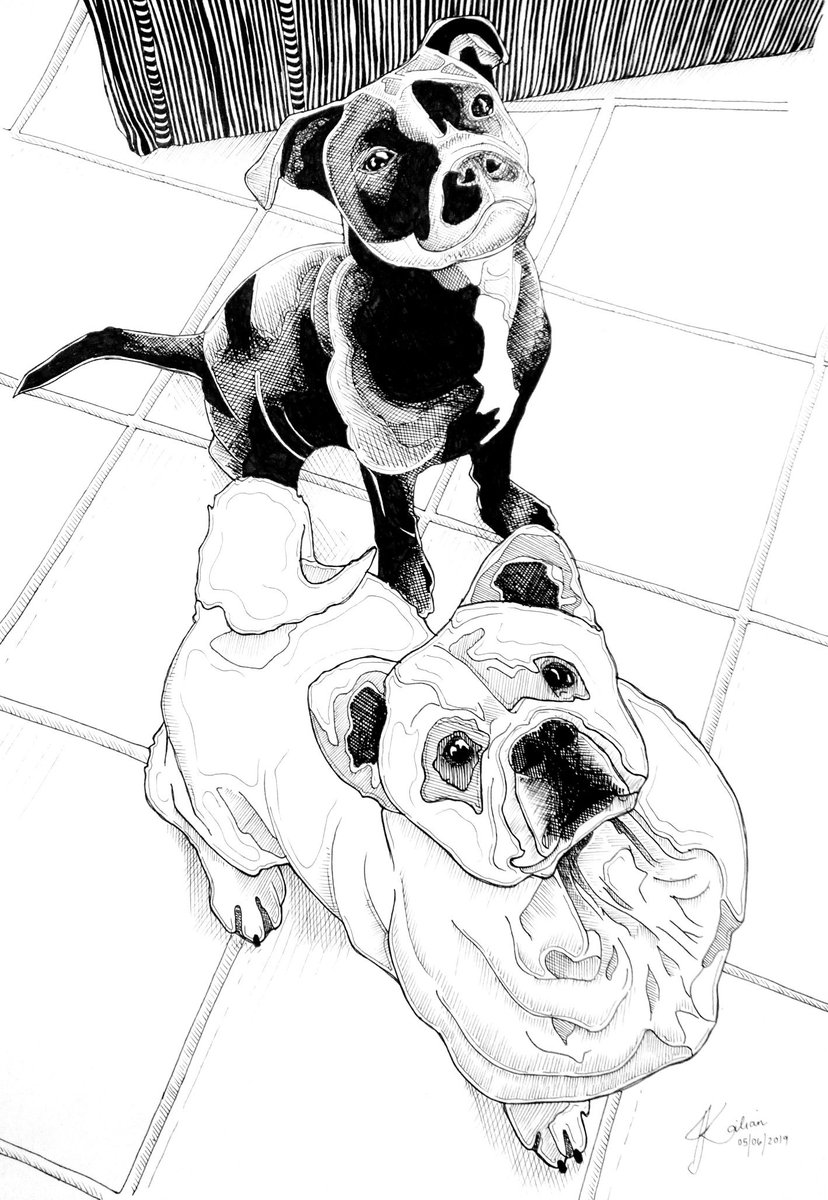 Willow Hollow Art And Design tweet media