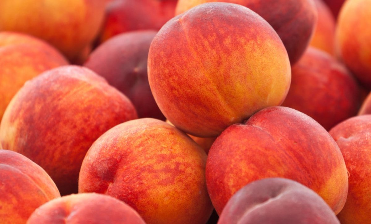 paragoncaffe's tweet photo. Happy Sunny Friday!
Have a fresh Peach ice tea to start the weekend!

#icetea #ICE #peaches https://t.co/NT53o21ewY