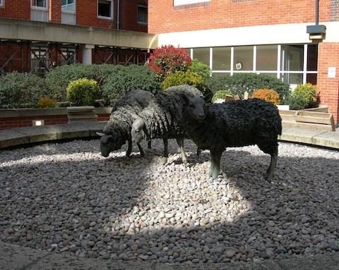 WSGSWD's tweet image. The Woolen Industry in Guildford and West Surrey - a talk by Mary Alexander 10:30am Tuesday 11June at The Spire church Farnham. All welcome. facebook.com/events/3018218…