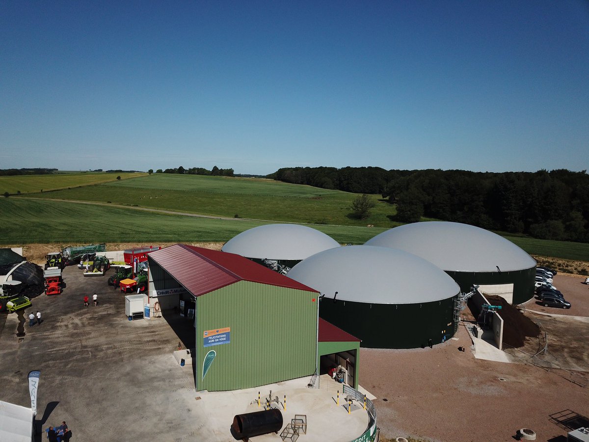 Morgane Tessier tweet media