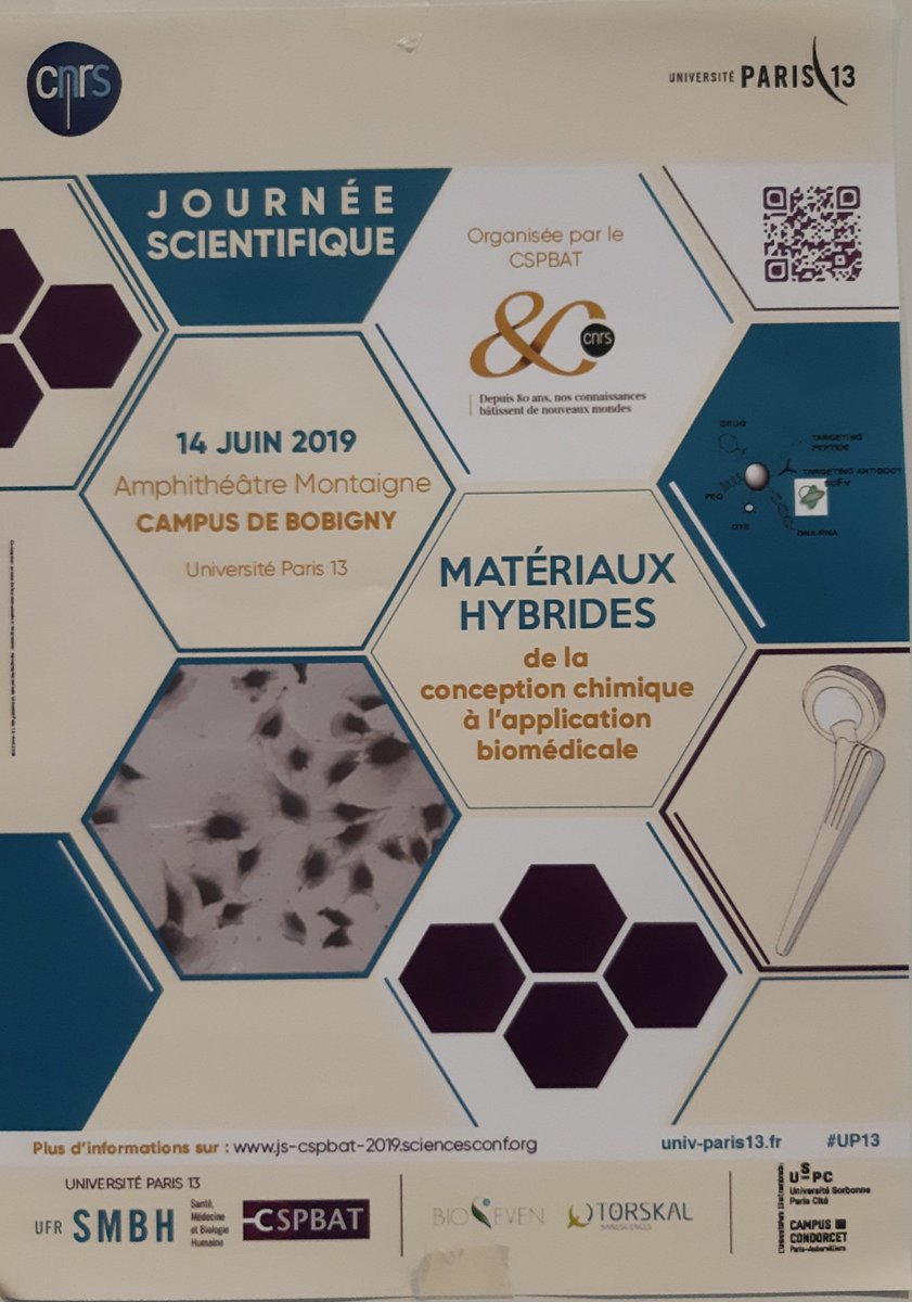 JOLANDA SPADAVECCHIA tweet media