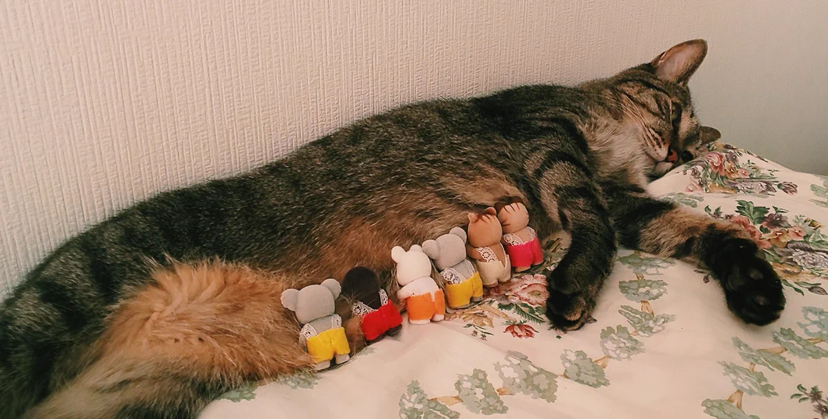 寝ている猫さんの乳を無断で吸う謎の集団！？