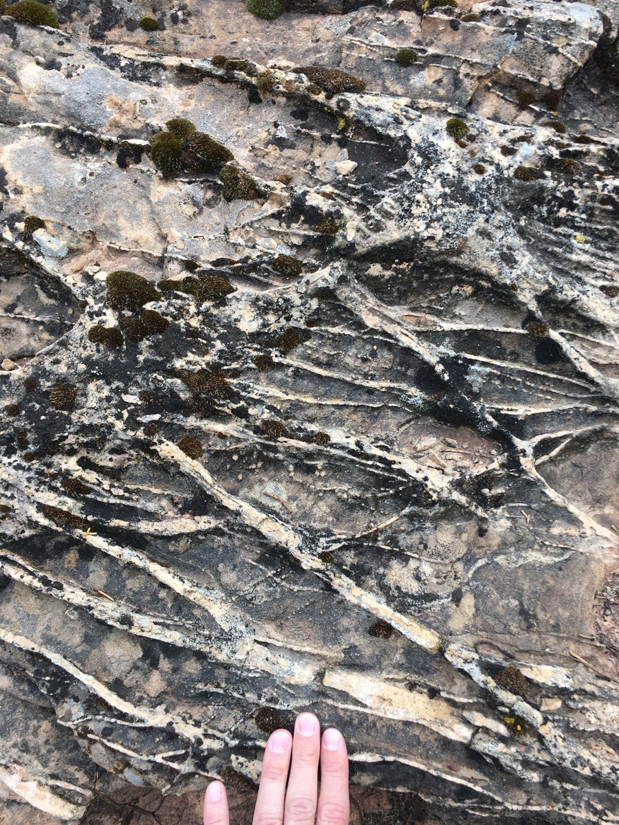 🚨PHD AND DEFORMATION BAND CLAXON🚨

Sooo....who wants to do a PhD on DEFORMATION BANDS 😍and FLOW 🌊in AOLIEAN/FLUVIAL 🏜️rocks here <a href="/BergenBasins/">Univ Bergen Basins</a>????????? It will be very. very. FUN!! 🥳 More here: jobbnorge.no/en/available-j…

Please retweet widely 😇