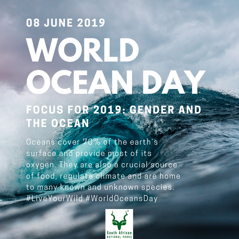Did you know that oceans cover more than 70% of the earth’s surface and that over 70% of our planet’s oxygen is produced by the ocean? bit.ly/2QsDhMK #WorldOceansDay #LiveYourWild