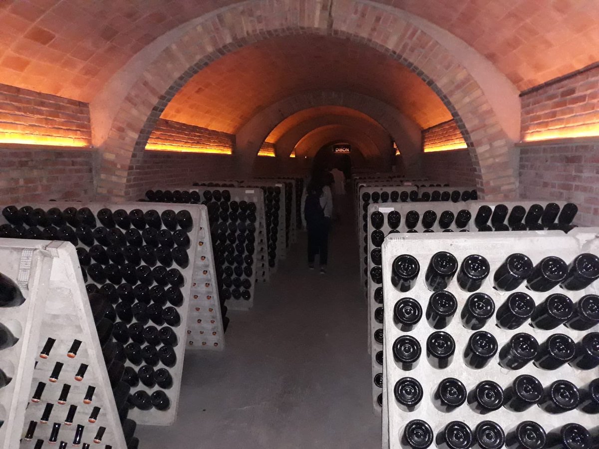 Gov4Tourism's tweet image. Are you thinking of a #sustainabletourism experience? We are visiting la #carreteraDelVi in #penedés @BCNmoltmes @turismecat #MEDTourism2019 #euinmyregion #tourismDiversification