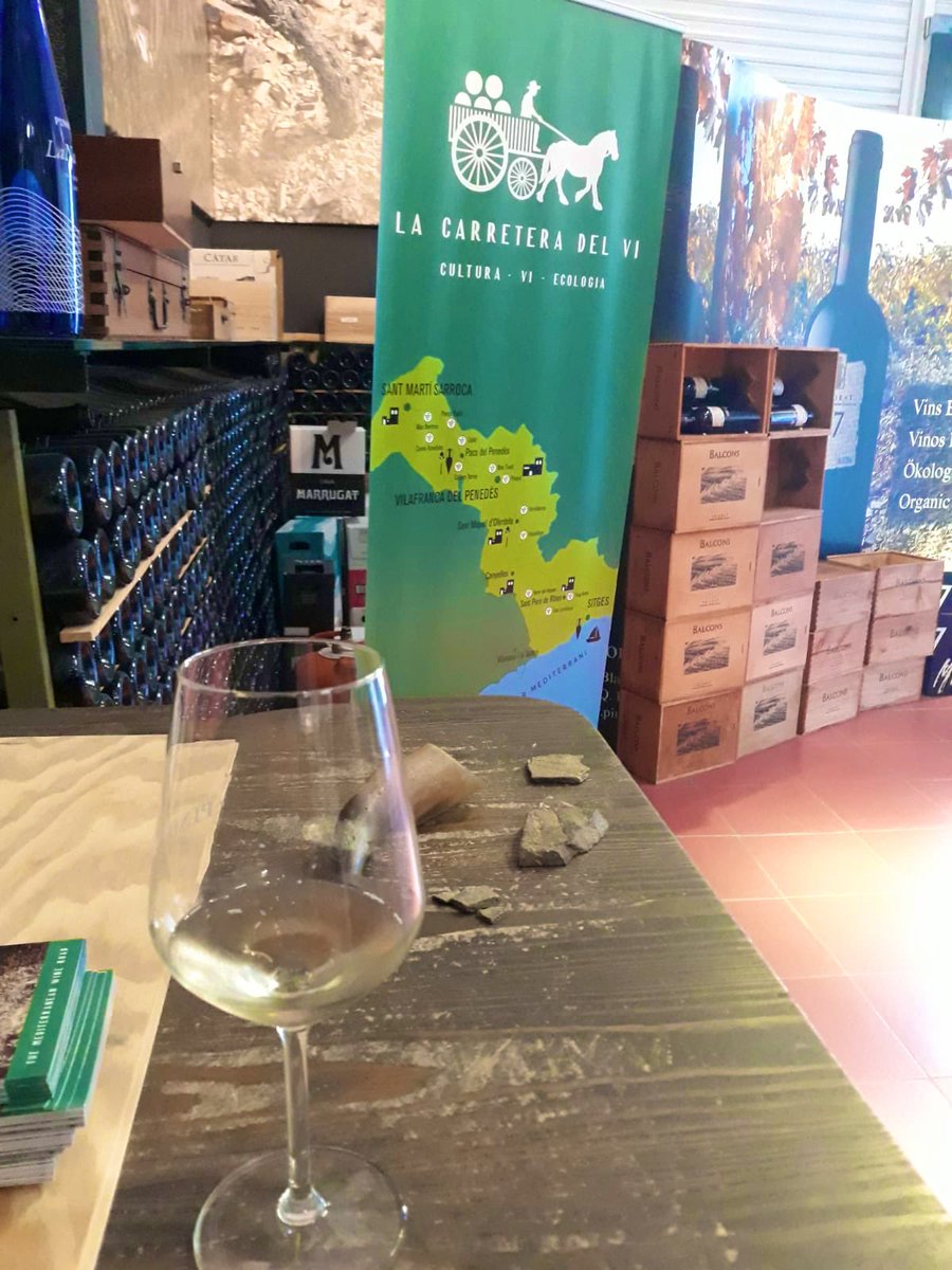 Gov4Tourism's tweet image. Are you thinking of a #sustainabletourism experience? We are visiting la #carreteraDelVi in #penedés @BCNmoltmes @turismecat #MEDTourism2019 #euinmyregion #tourismDiversification