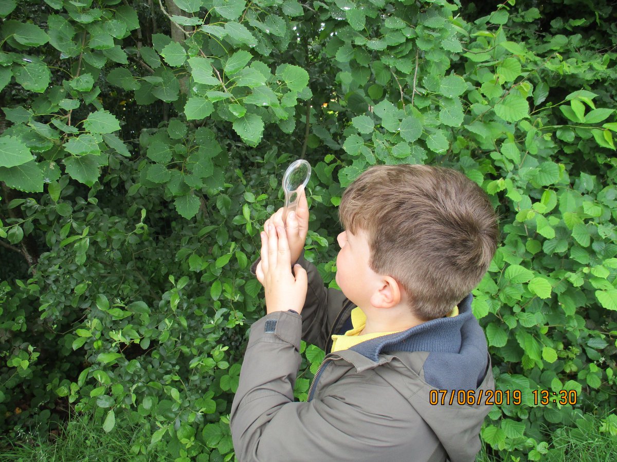 Kinson_Academy's tweet photo. The @RSPB came into school to help Year 1 search for bugs and grubs. @Ambitions_AT #outdoorlearning #nature #wildlife #kinsonkidz https://t.co/6URdSvjbEn