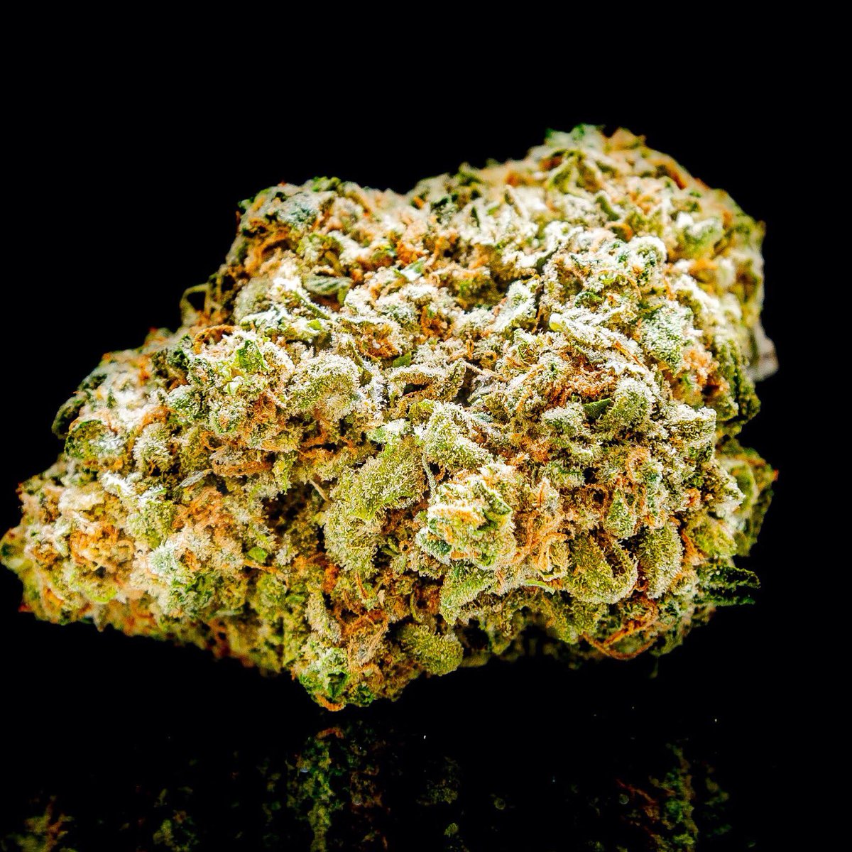 LaderaFarmsWa's tweet photo. Death Star 💫☠️
One of our favorite in-house Indica’s, & one of our most popular strains! Death Star is a cross between Sour Diesel & Sensi Star, so not only is it very tasty it has a nice euphoria effect. The Force is strong with this one!😄💨
#laderafarms #ladera #i502 https://t.co/VkBokJrdAH