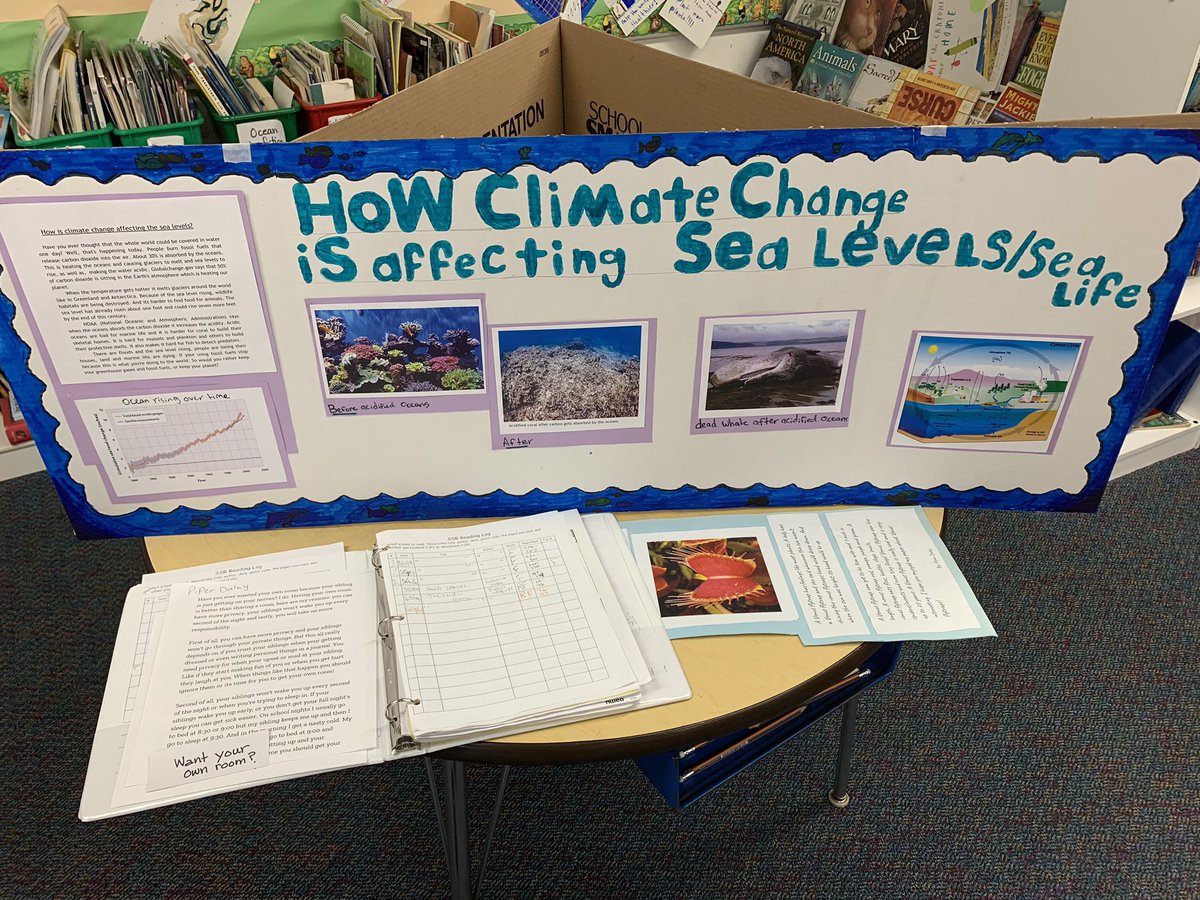 MichaelEppolito's tweet photo. The Mt. Holly School @TwoRiversSU successfully held its exhibition of learning inspired by @ExpedLearning Leaders of Their Own Learning. https://t.co/Q7RM7g9fgg