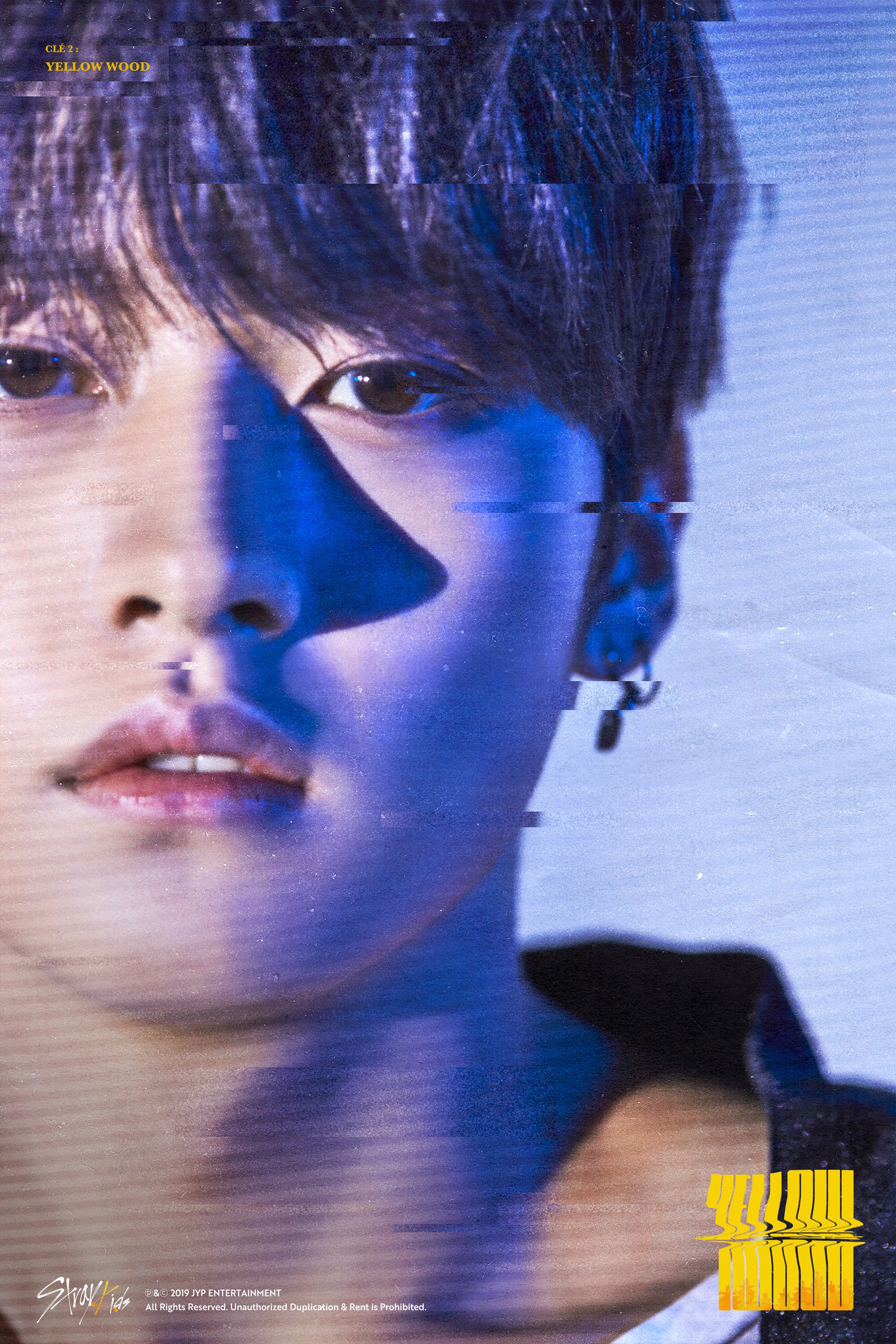 Stray Kids on X: 