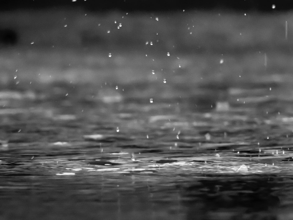 TheGCClayton's tweet photo. With the impending weather this weekend (⛈), we have decided to CANCEL the Volunteer Training &amp; Appreciation tomorrow. All of the fun things we had planned for outside unfortunately will not be able to happen. We will be rescheduling this event for a later (sunnier ☀️) date! https://t.co/mGRz9tNkYK