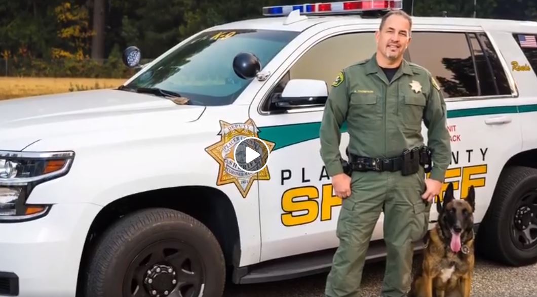 Placer County Deputies say a K9 injured during an officer-involved shooting earlier this year died last night after being diagnosed with "aggressive prostate cancer."
ktvn.com/story/39797309…