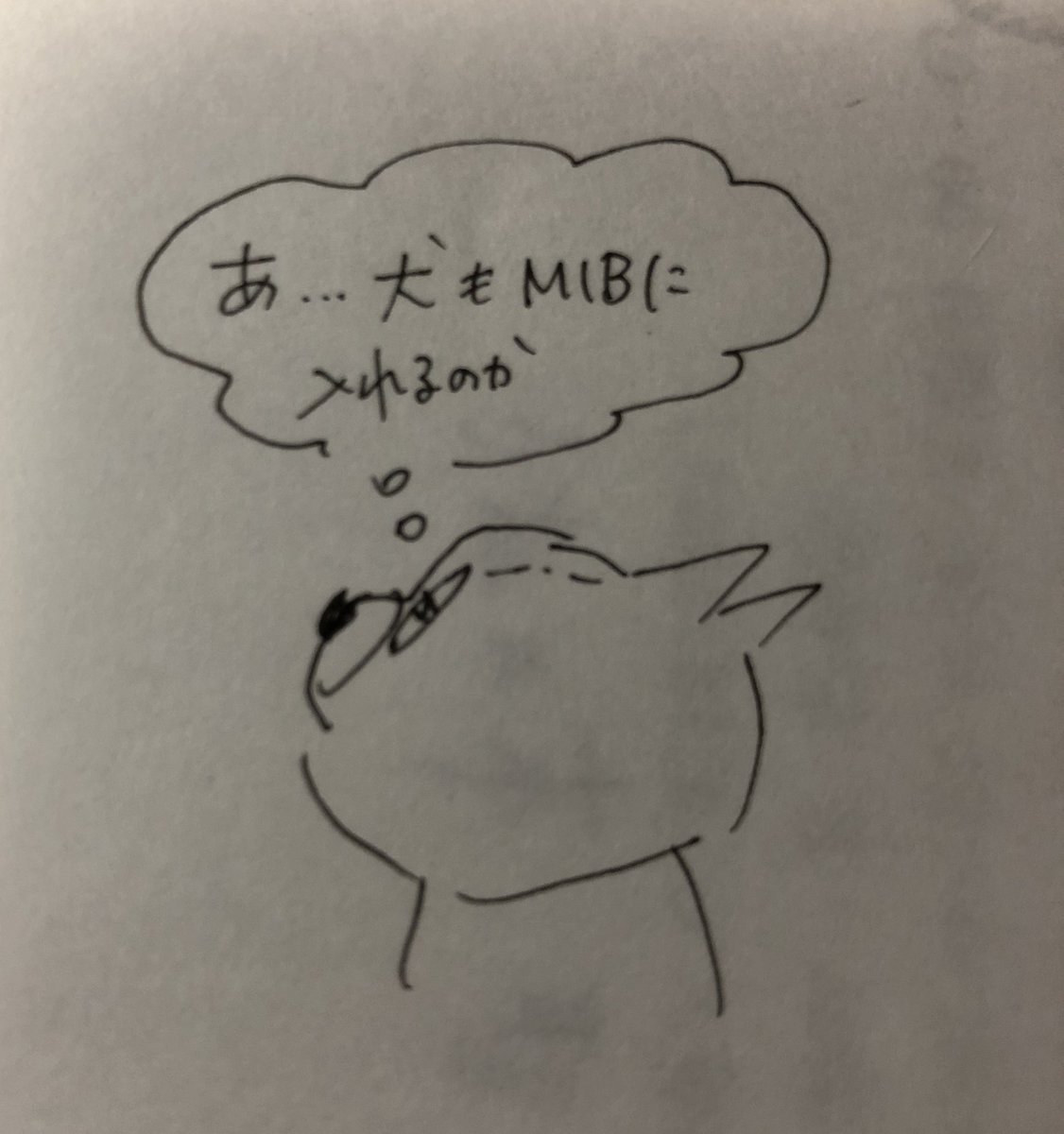 今日は(も)息子とニャンコは映画をみてました。
このところゲーム熱は冷めたような感じに見える。 