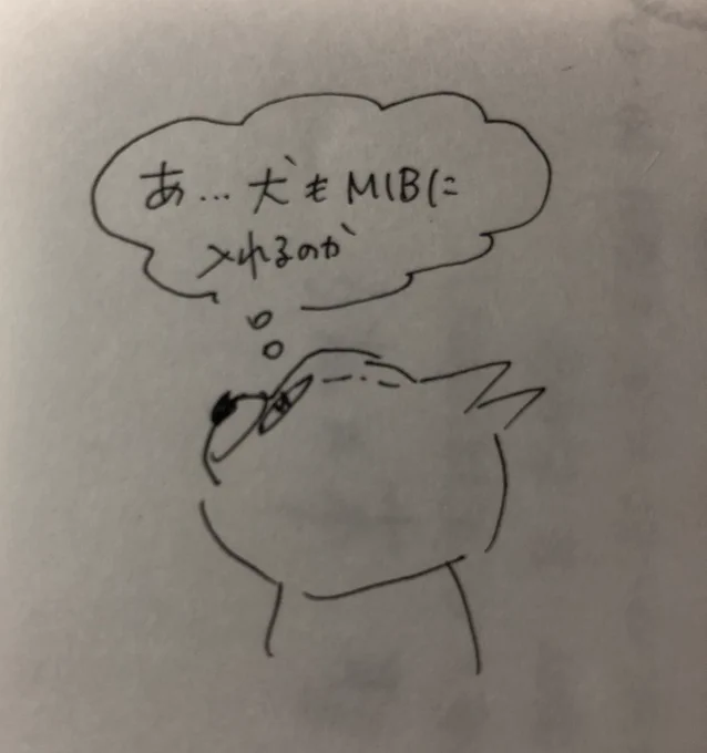 今日は(も)息子とニャンコは映画をみてました。
このところゲーム熱は冷めたような感じに見える。 