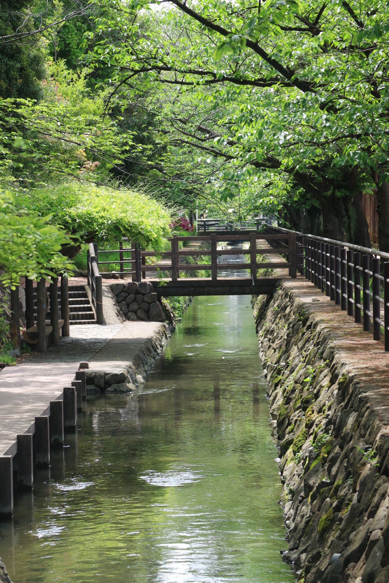 武蔵小杉ライフ公式 中原平和公園の二ヶ領用水 武蔵小杉 T Co Segll4wpqo Twitter