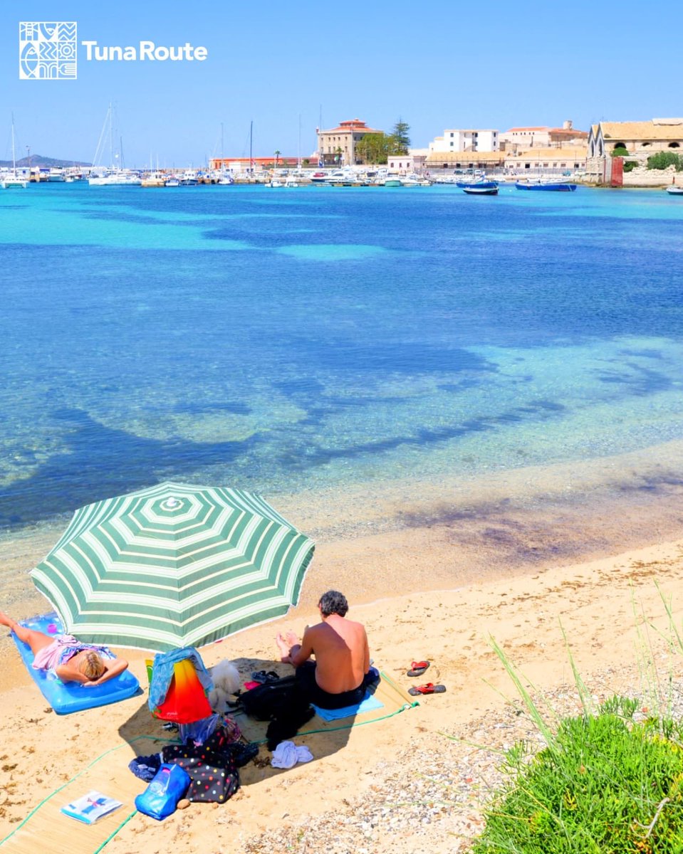 Tuna Route tweet media