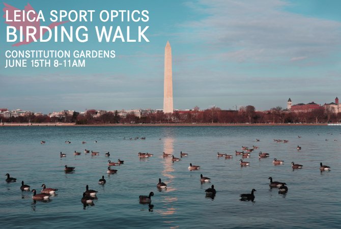 Leica Store Wash. DC (@leicastoredc) on Twitter photo Join Leica Sport Optics specialist Jeff Bouton on a afternoon of birding at Washington DC's iconic Constitution Gardens. There will be Demo Leica optics available first come first serve.
Meet at corner of 19th and Constitution Ave
June 15th 8-11AM
rsvp@leica-store-dc.com Join Leica Sport Optics specialist Jeff Bouton on a afternoon of birding at Washington DC's iconic Constitution Gardens. There will be Demo Leica optics available first come first serve.
Meet at corner of 19th and Constitution Ave
June 15th 8-11AM
rsvp@leica-store-dc.com
