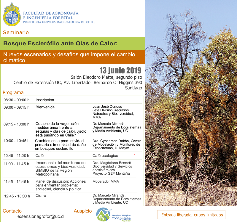 El 13 de junio realizaremos el seminario "Bosque Esclerófilo ante olas de calor" en la UC. Te invitamos a enviar fotografías de árboles afectados por las olas de calor al correo contacto@gefmontana.cl, indicando tu nombre y localidad. Inscripciones 👉🏽 bit.ly/2ZihdId