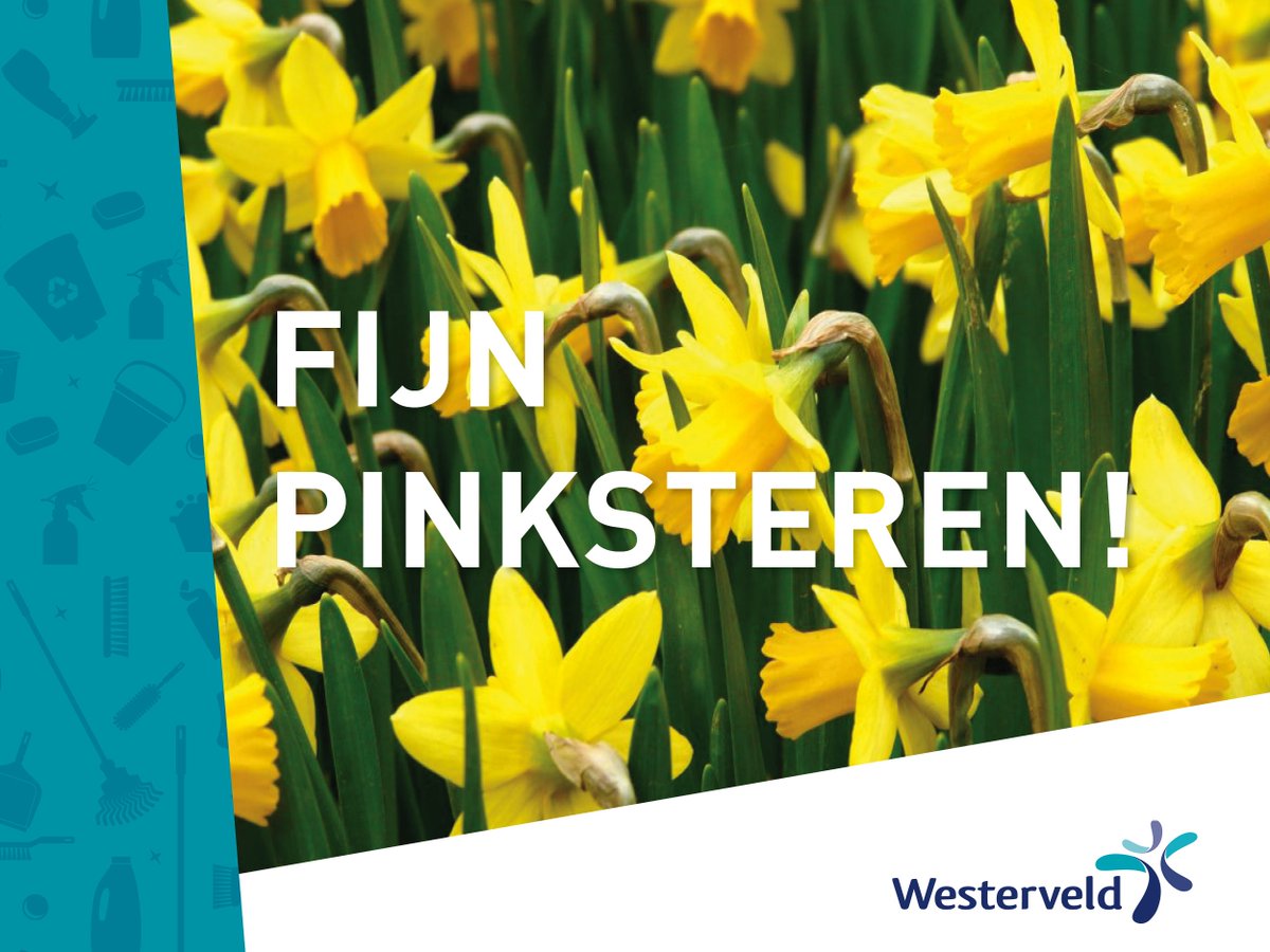 Pompoen (@pompoenclub) on Twitter photo 