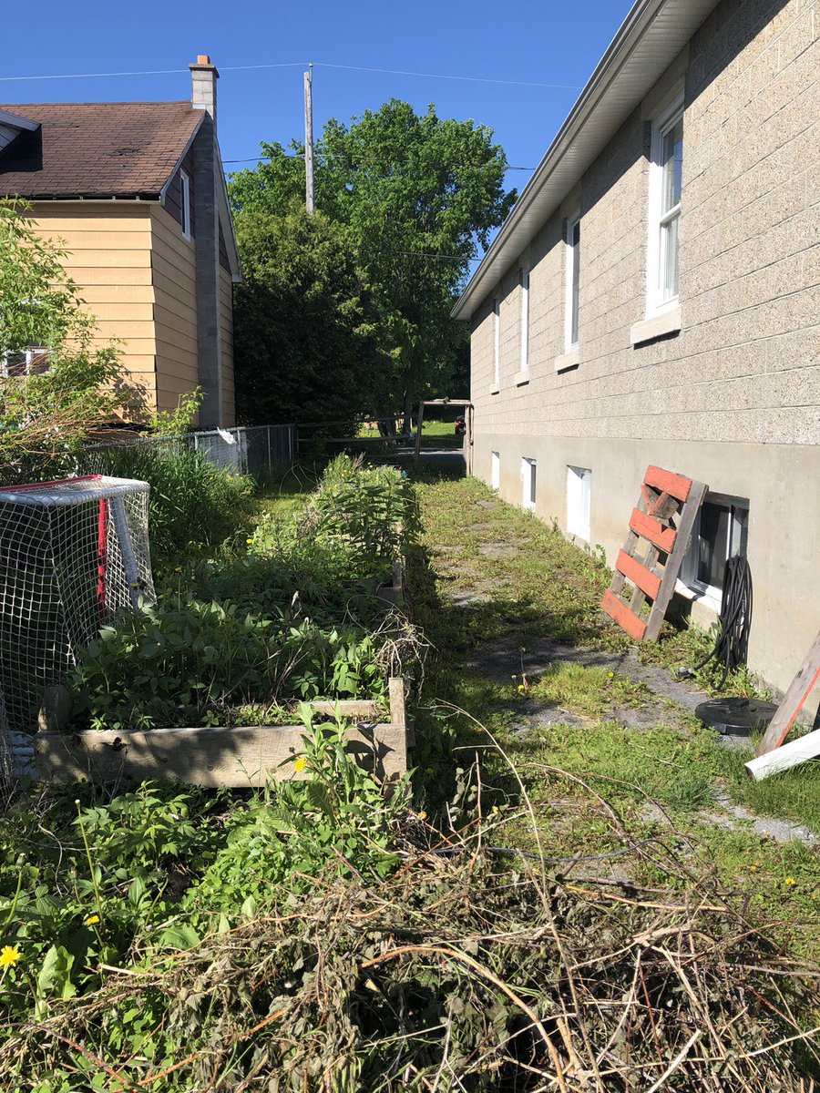 CanopyGrowth's tweet photo. A few more pics from yesterday's action in Lanark as part of our #GrowGoodTogether campaign kick-off! Check out the garden before-and-after shots, and the awesome tables & shed our team built. Thanks to our friends at United Way for their help putting it together! https://t.co/WGlN0Qe4ff