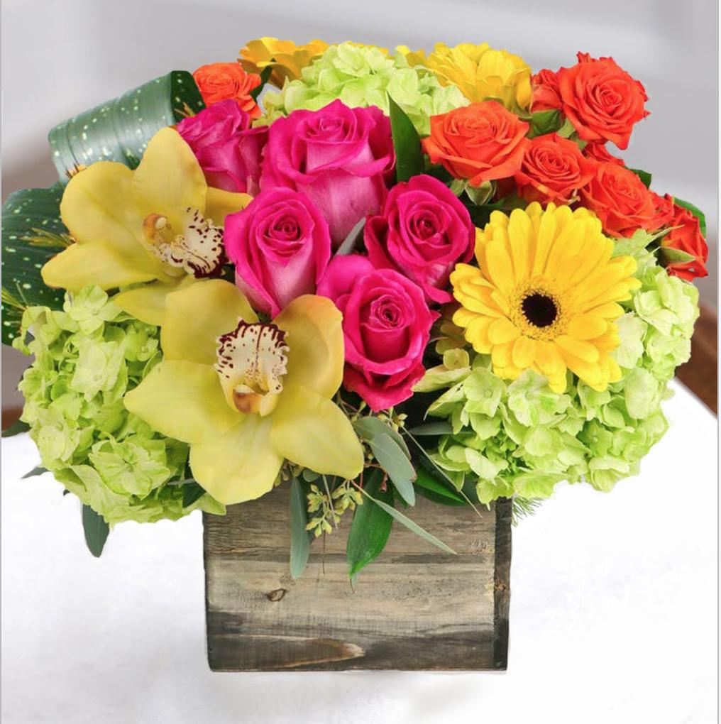 CarithersFlwrs's tweet photo. Happy birthday to all the June babies! Make sure to send them a beautiful arrangement!💐🌻🌹 https://t.co/3W8KKSXXmv #junebabies #BirthdayMonth https://t.co/AcyQZaI4jd