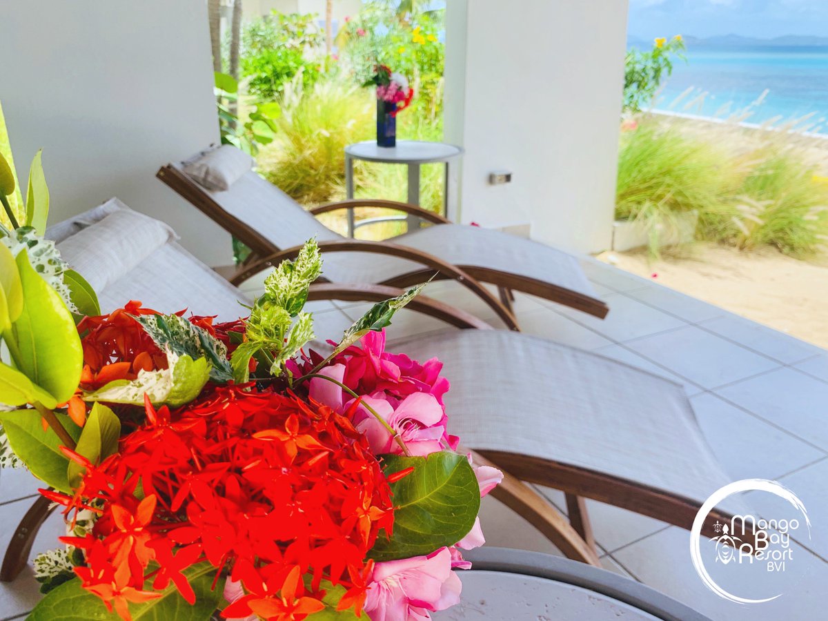 MangoBayResort's tweet photo. Happy Friday Everyone! 
We are working on all our final details, so get ready to book your dream vacation here at Mango Bay Resort. 
#Mangobayresortbvi #Vacationdestination #BeachVacatio#Traveln#Natureslittlesecret #onebvi #VirginGorda #BritishVirginIslands#Bvisecrets https://t.co/9C1CptsOWQ