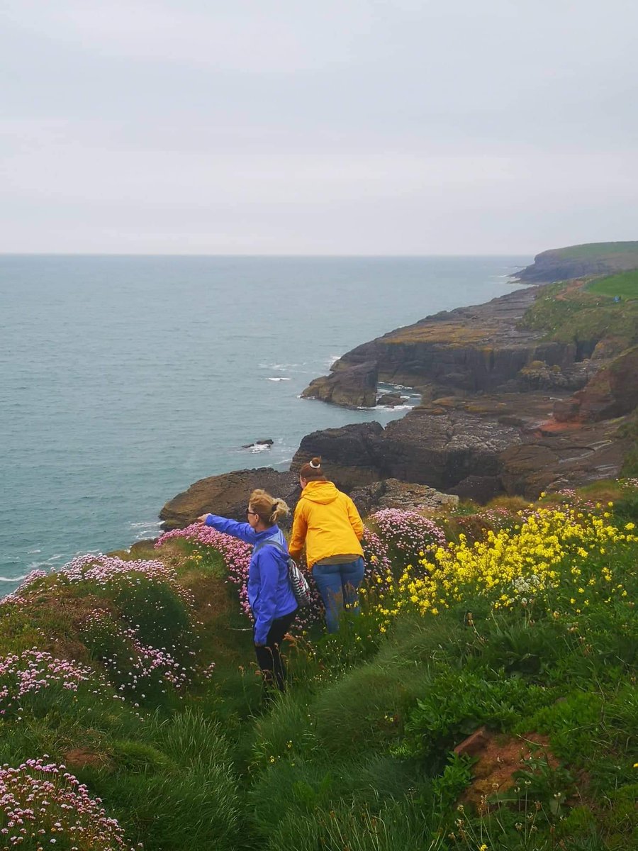 Waterfordcamino's tweet photo. Our American tourists are absolutely blow away by the beauty of the Dunmore Cliff Walk 👌💫🌀🚶‍♀️ #waterfordcamino #waterfordgreenway #spiritualtrails #mindfulness #resilience #irelandsancienteast #dunmore #ireland #waterford https://t.co/lyCVoSBGtr