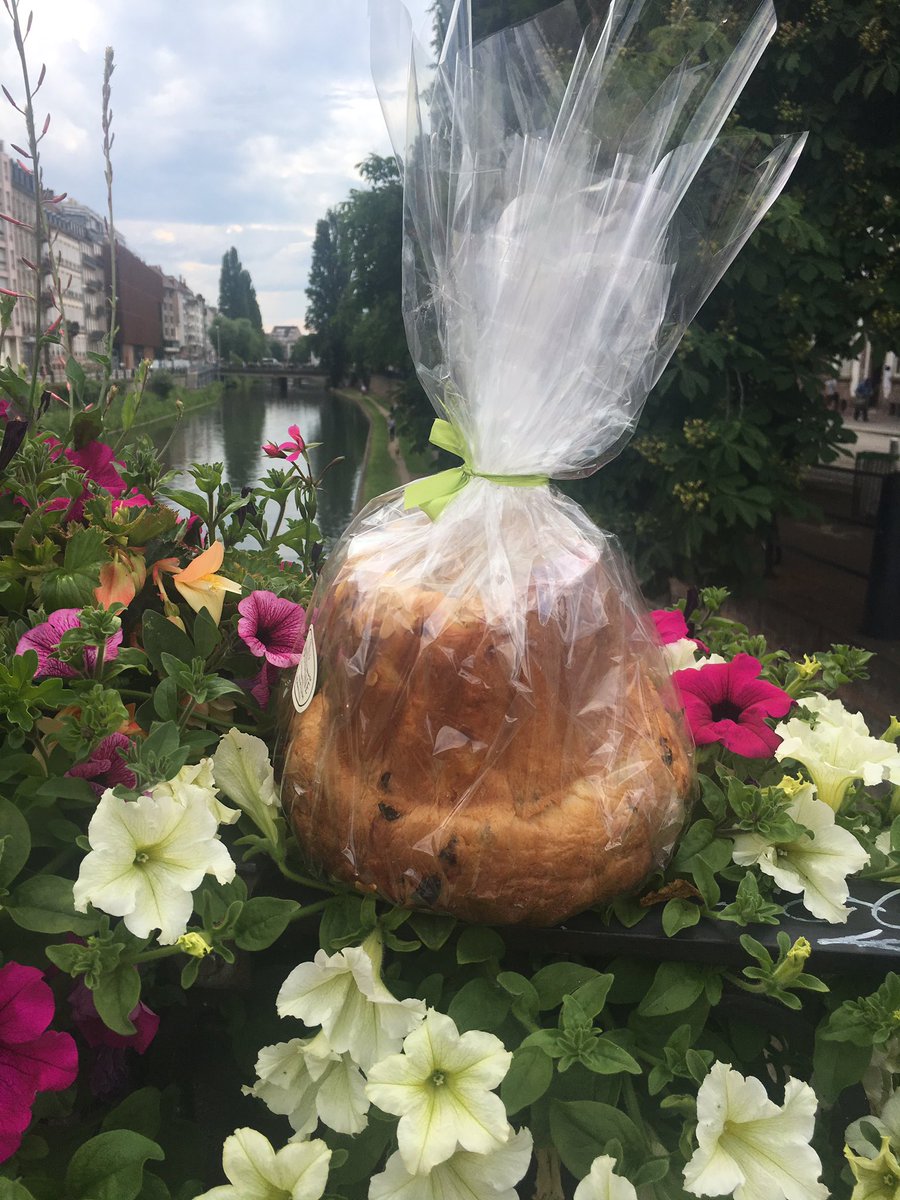 SipiSuisse's tweet photo. @LaSF2H @BGRANDBASTIEN Merci à toutes et tous.Rdv en 🇫🇷 ou en 🇨🇭 avec toujours le même objectif, la lutte contre les infections associées aux soins @yolene_carre @LaSF2H @beaduv @PascaleChaize @ThierryHeimlich @IPC_VMorris @hopital_ne ...et pleins d’ autres https://t.co/ENdv98oqbY