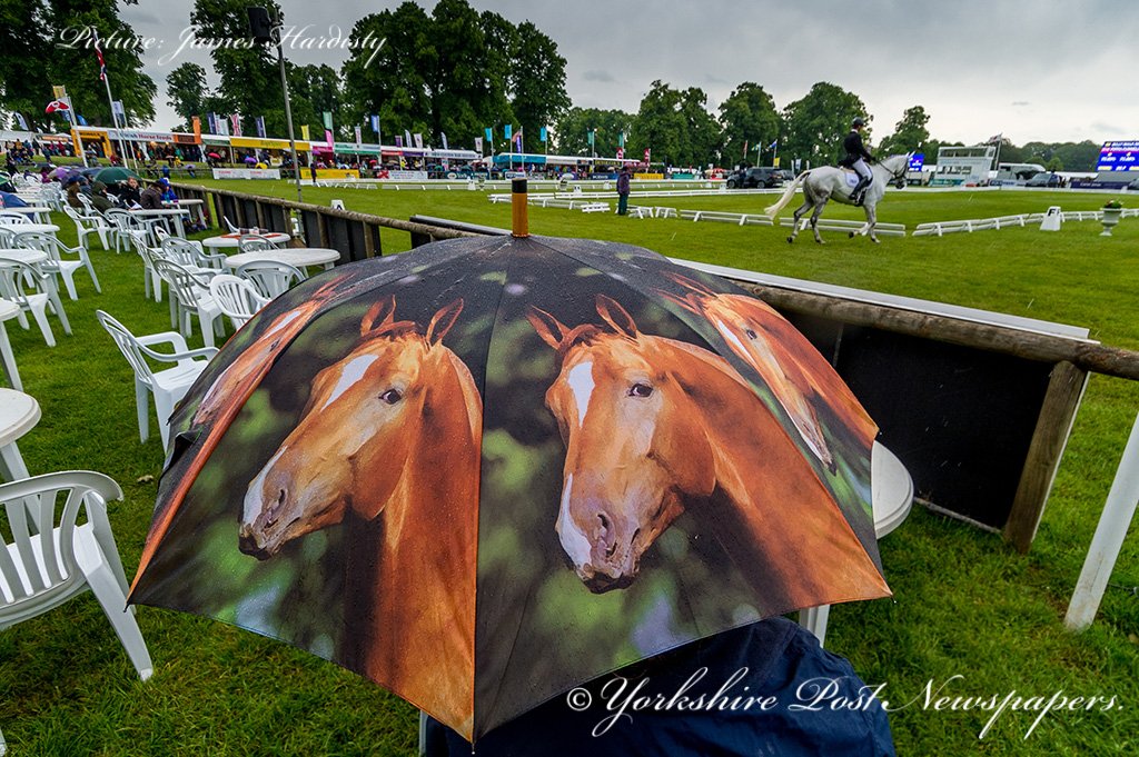 snapperjim's tweet photo. #Bramham #International #Horse #Trials @BramhamPark @leedsnews #yeplive @yorkshirepost #yplive #EBHT @BEventing @Equi_Trek see tomorrows #YorkshirePost for full report & pictures #weather #action #riders #visitors @TopSpec2 @MarisaCashill @sdphotos1 @MadCowFudge #Yorkshire #pets https://t.co/Uak7w5bGZv