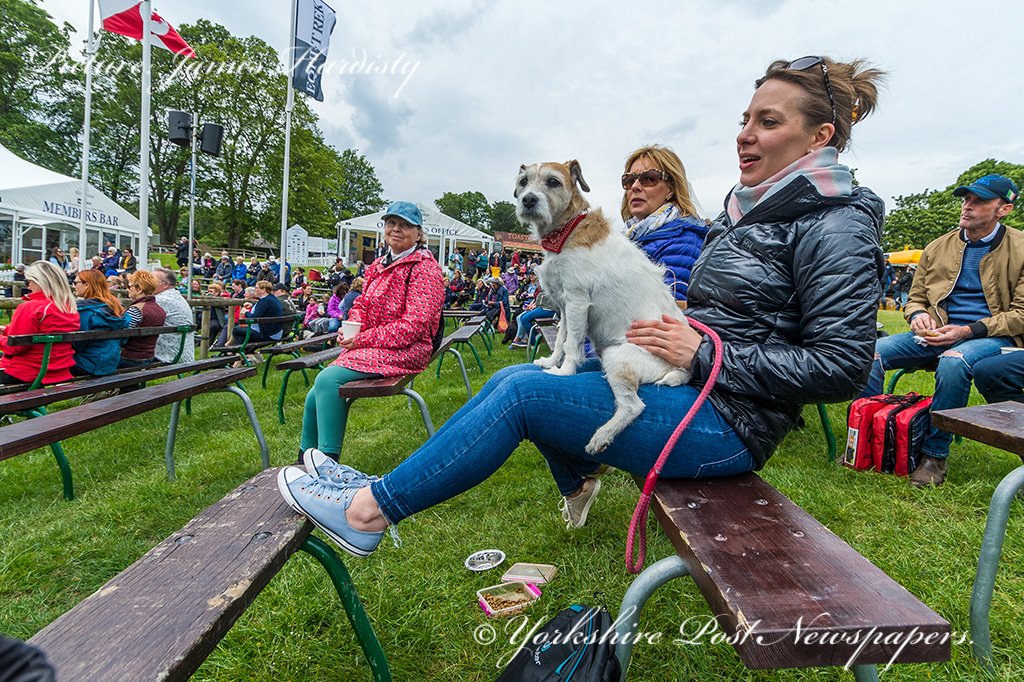 snapperjim's tweet photo. #Bramham #International #Horse #Trials @BramhamPark @leedsnews #yeplive @yorkshirepost #yplive #EBHT @BEventing @Equi_Trek see tomorrows #YorkshirePost for full report & pictures #weather #action #riders #visitors @TopSpec2 @MarisaCashill @sdphotos1 @MadCowFudge #Yorkshire #pets https://t.co/Uak7w5bGZv