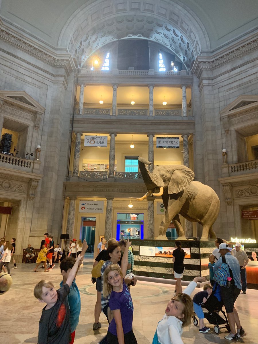 Arch in Museum of Natural History!  #roteam2 ⁦<a href="/MsRomeroAPS/">Ms. Romero's Class</a>⁩