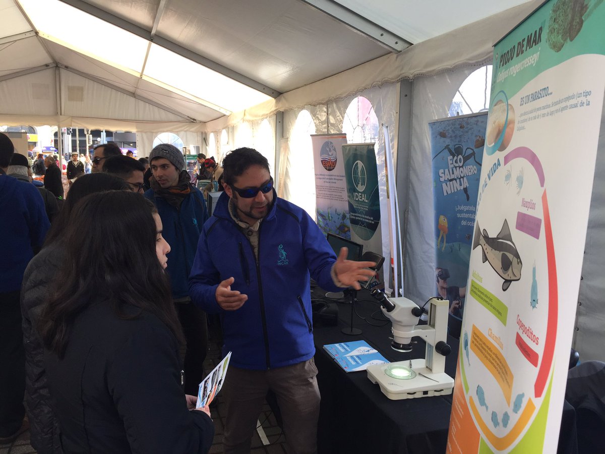CentroIncar2's tweet photo. Feria #DiaMundialDeLosOceanos con stand de #Caligus y #EcoSalmoneroNinja https://t.co/7ivz7m6bMk